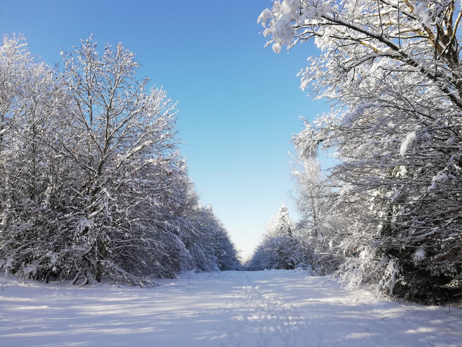 La neige en abondance - Vasperviller